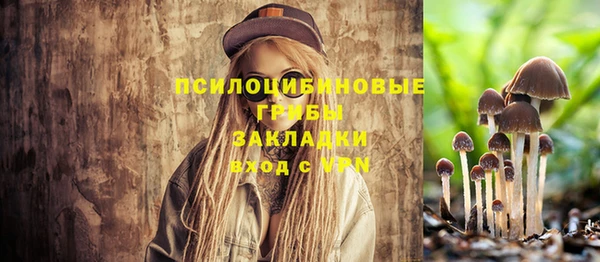 Альфа ПВП Гусев