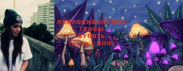 Альфа ПВП Гусев